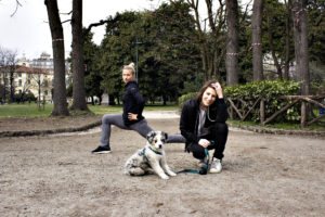 dog chill out while you workout