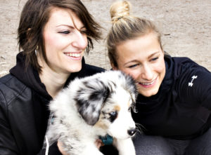 dog chill out while you workout