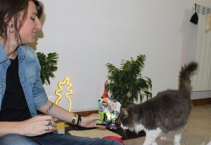 alimentazione del cane e del gatto