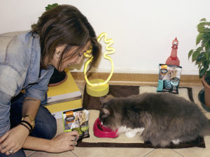 cibo per gatti