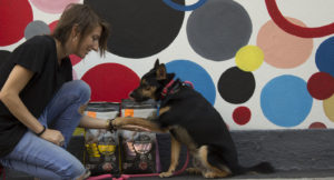 pet food